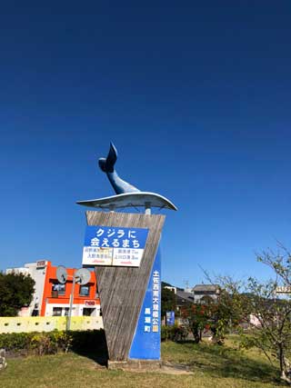 金子力の一眼レフ写真の独り言