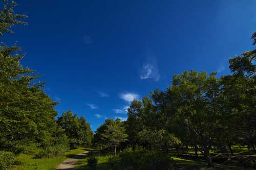 金子力の一眼レフ写真の独り言