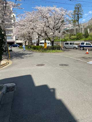 金子力の一眼レフ写真の独り言