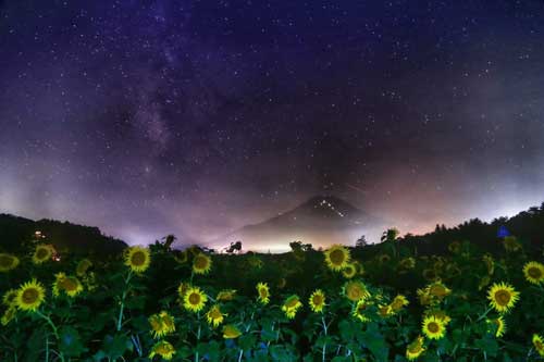 金子力の一眼レフ写真の独り言