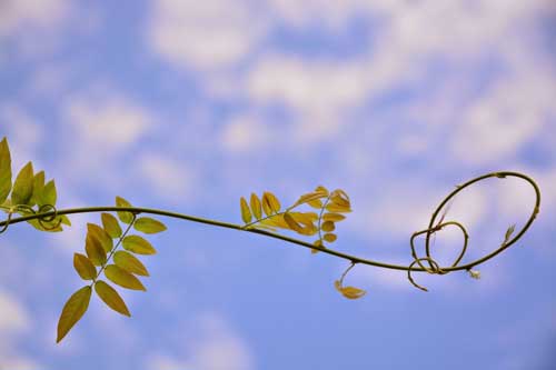 金子力の一眼レフ写真の独り言