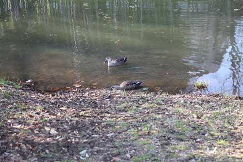 金子力の一眼レフ写真の独り言