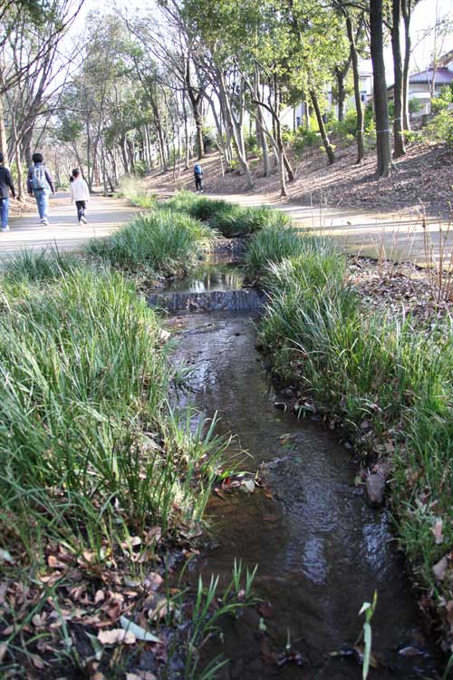 金子力の一眼レフ写真の独り言