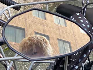 PCX125 JF 56のメンテナンス日記　燃費との闘い