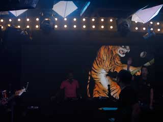 金子力とその仲間たち☆chikara kaneko