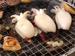 金子力とその仲間たち☆chikara kaneko