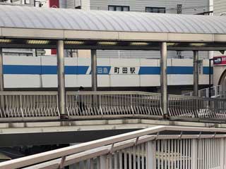 金子力とその仲間たち☆chikara kaneko