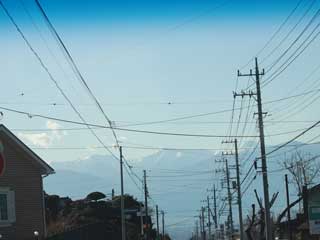 金子力とその仲間たち☆chikara kaneko