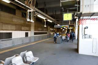 金子力とその仲間たち☆chikara kaneko