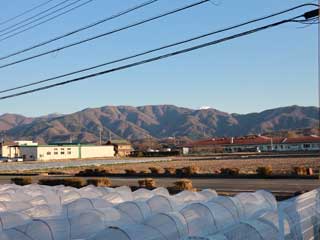 金子力とその仲間たち☆chikara kaneko