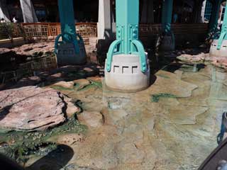 金子力とその仲間たち☆chikara kaneko