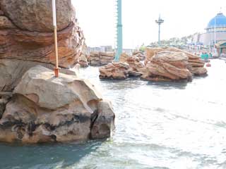 金子力とその仲間たち☆chikara kaneko