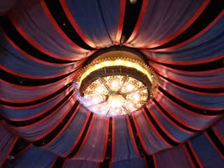 金子力とその仲間たち☆chikara kaneko