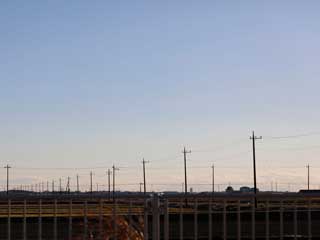 金子力とその仲間たち☆chikara kaneko