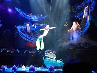 金子力とその仲間たち☆chikara kaneko