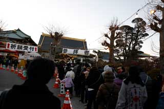 金子力とその仲間たち☆chikara kaneko