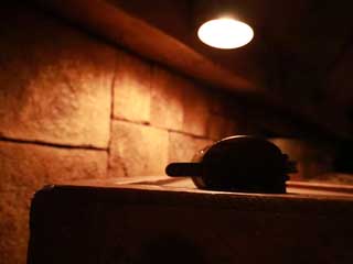 金子力とその仲間たち☆chikara kaneko