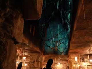 金子力とその仲間たち☆chikara kaneko