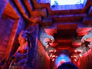 金子力とその仲間たち☆chikara kaneko