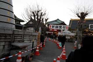 金子力とその仲間たち☆chikara kaneko