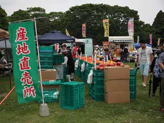 金子力とその仲間たち☆chikara kaneko