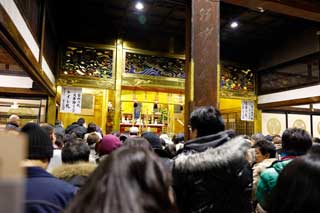 金子力とその仲間たち☆chikara kaneko