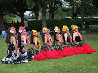 金子力とその仲間たち☆chikara kaneko