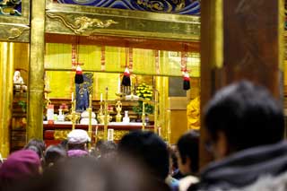 金子力とその仲間たち☆chikara kaneko