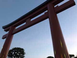 金子力とその仲間たち☆chikara kaneko