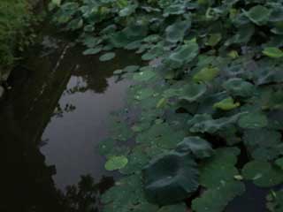 金子力とその仲間たち☆chikara kaneko