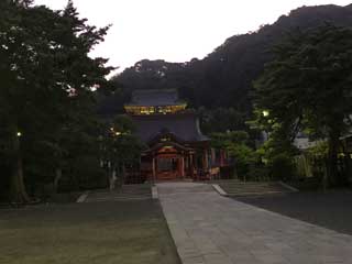 金子力とその仲間たち☆chikara kaneko