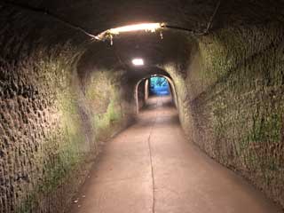 金子力とその仲間たち☆chikara kaneko