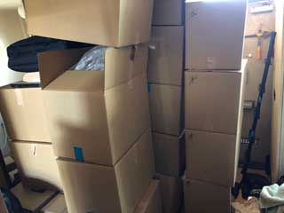 金子力とその仲間たち☆chikara kaneko