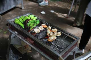 金子力とその仲間たち☆chikara kaneko