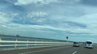 金子力とその仲間たち☆chikara kaneko