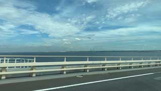 金子力とその仲間たち☆chikara kaneko