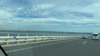 金子力とその仲間たち☆chikara kaneko