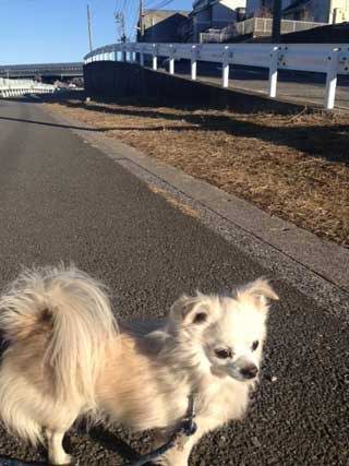 金子力とその仲間たち☆chikara kaneko