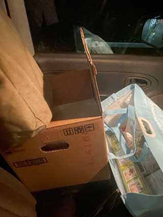 金子力とその仲間たち☆chikara kaneko