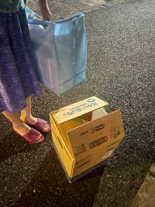 金子力とその仲間たち☆chikara kaneko