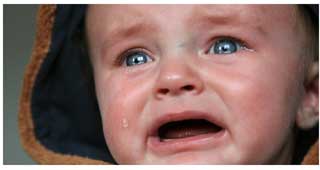 金子力とその仲間たち☆chikara kaneko