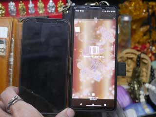 金子力とその仲間たち☆chikara kaneko