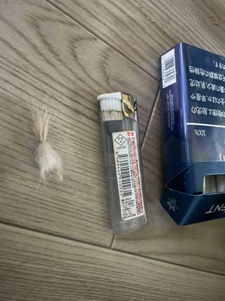 金子力とその仲間たち☆chikara kaneko