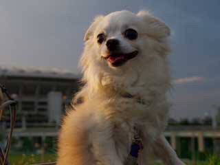 金子力とその仲間たち☆chikara kaneko