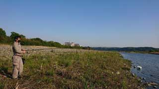 金子力とその仲間たち☆chikara kaneko