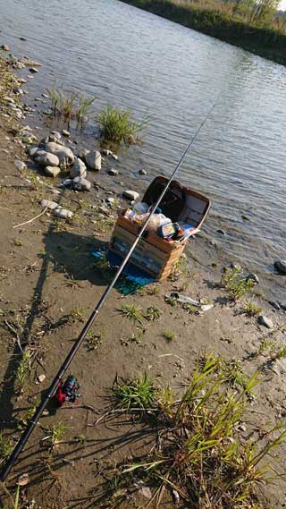 金子力とその仲間たち☆chikara kaneko