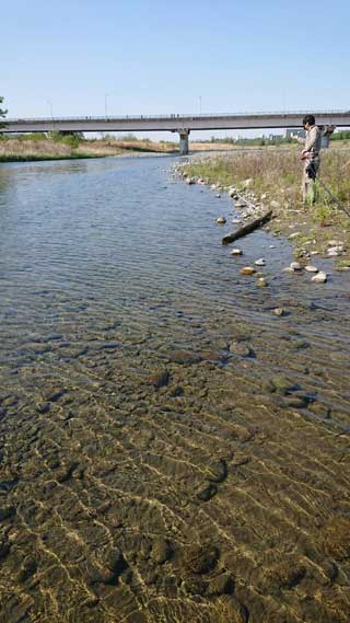 金子力とその仲間たち☆chikara kaneko