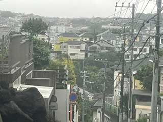 金子力とその仲間たち☆chikara kaneko