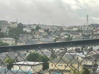 金子力とその仲間たち☆chikara kaneko