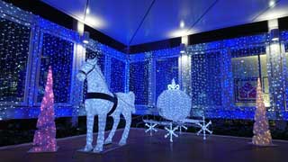 金子力とその仲間たち☆chikara kaneko